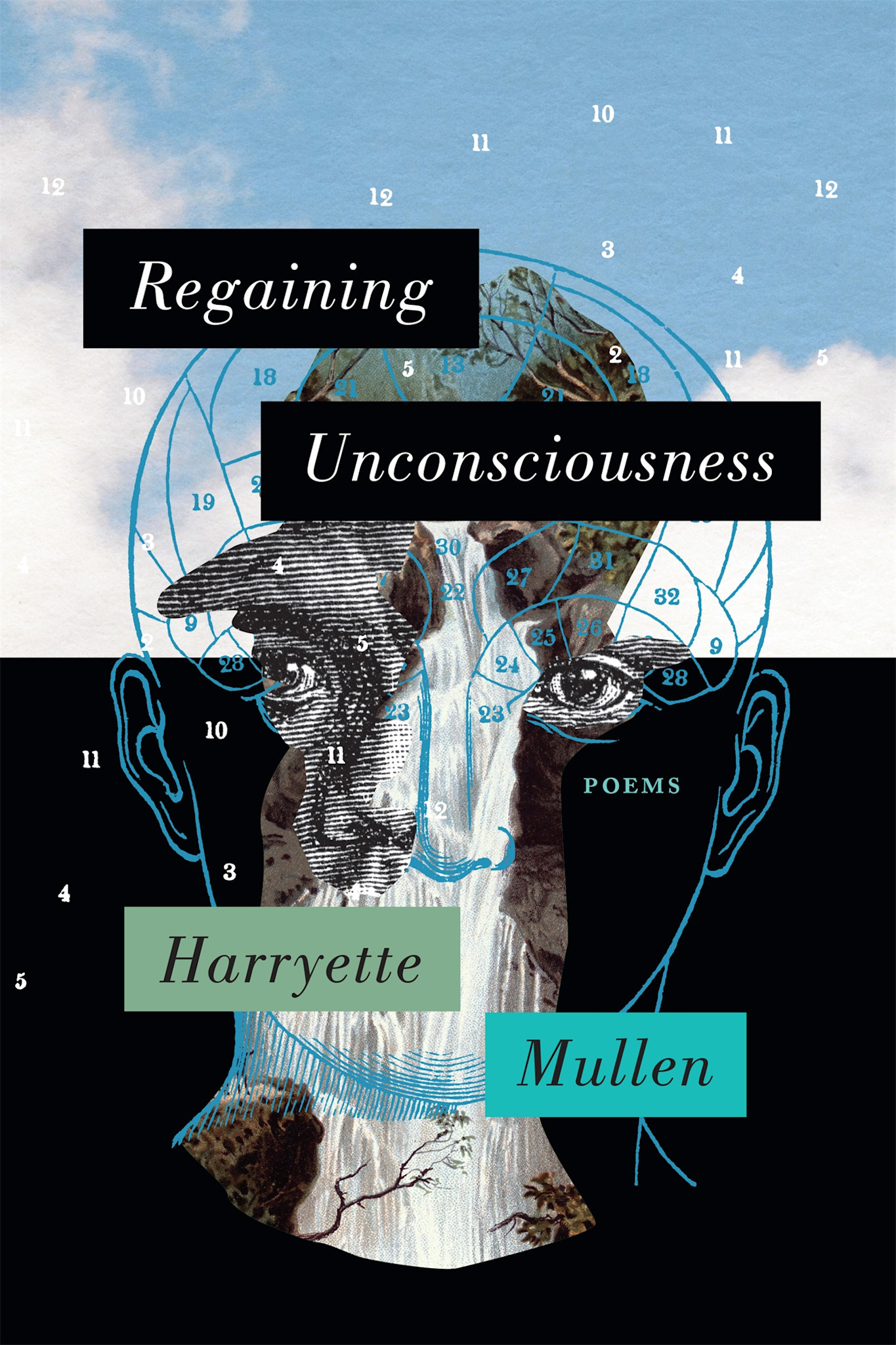 Graywolf Press Regaining Unconsciousness: Poems
