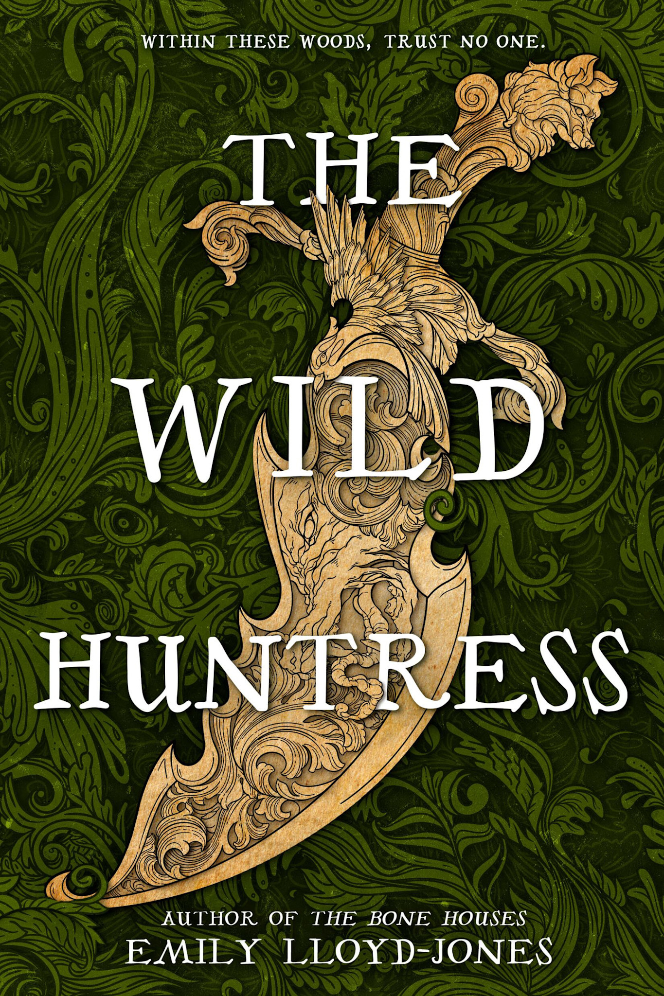 Little, Brown Books for Young Readers The Wild Huntress
