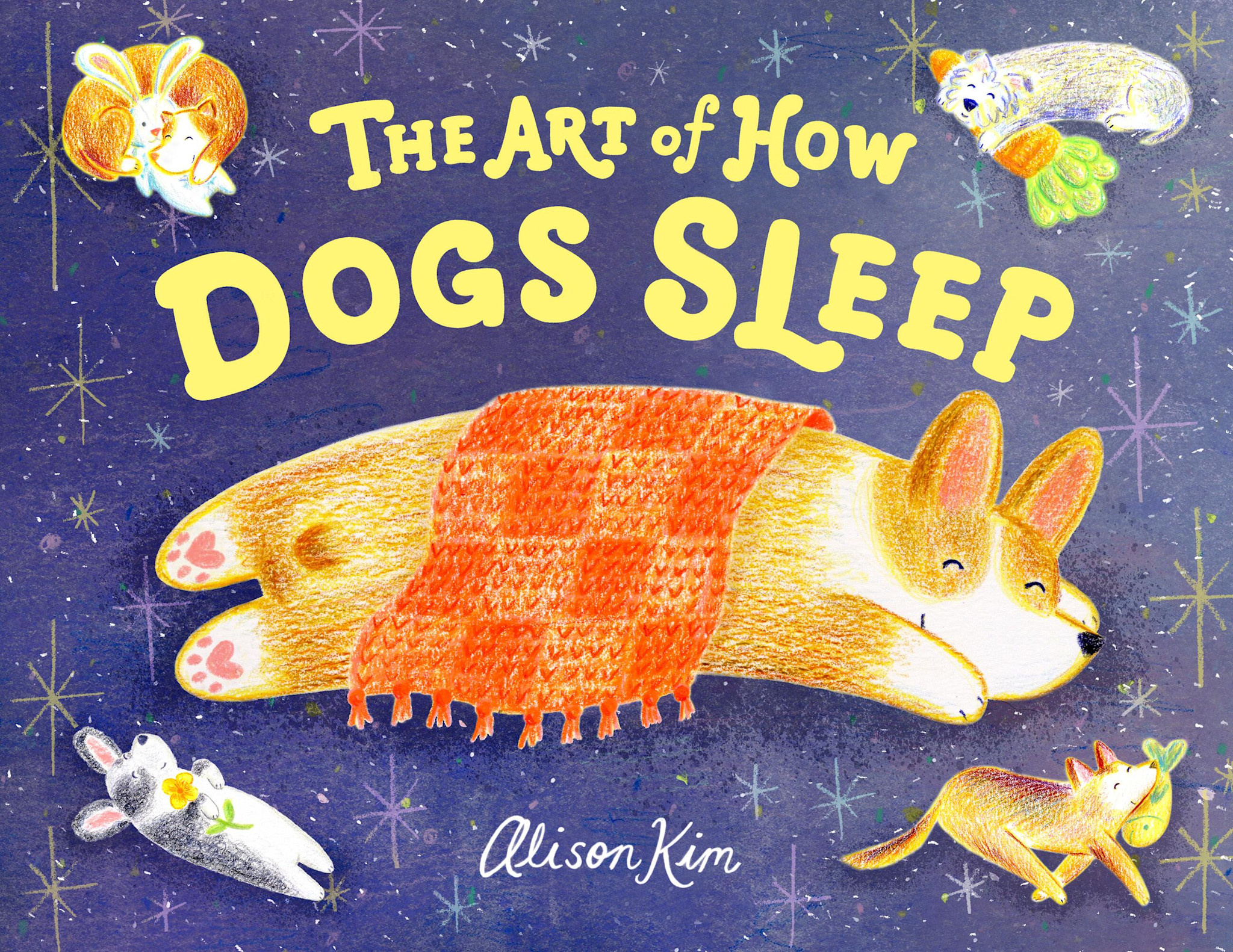 Little, Brown Books for Young Readers The Art of How Dogs Sleep