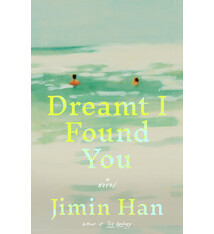 Little, Brown and Company Dreamt I Found You: A Novel