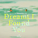 Little, Brown and Company Dreamt I Found You: A Novel
