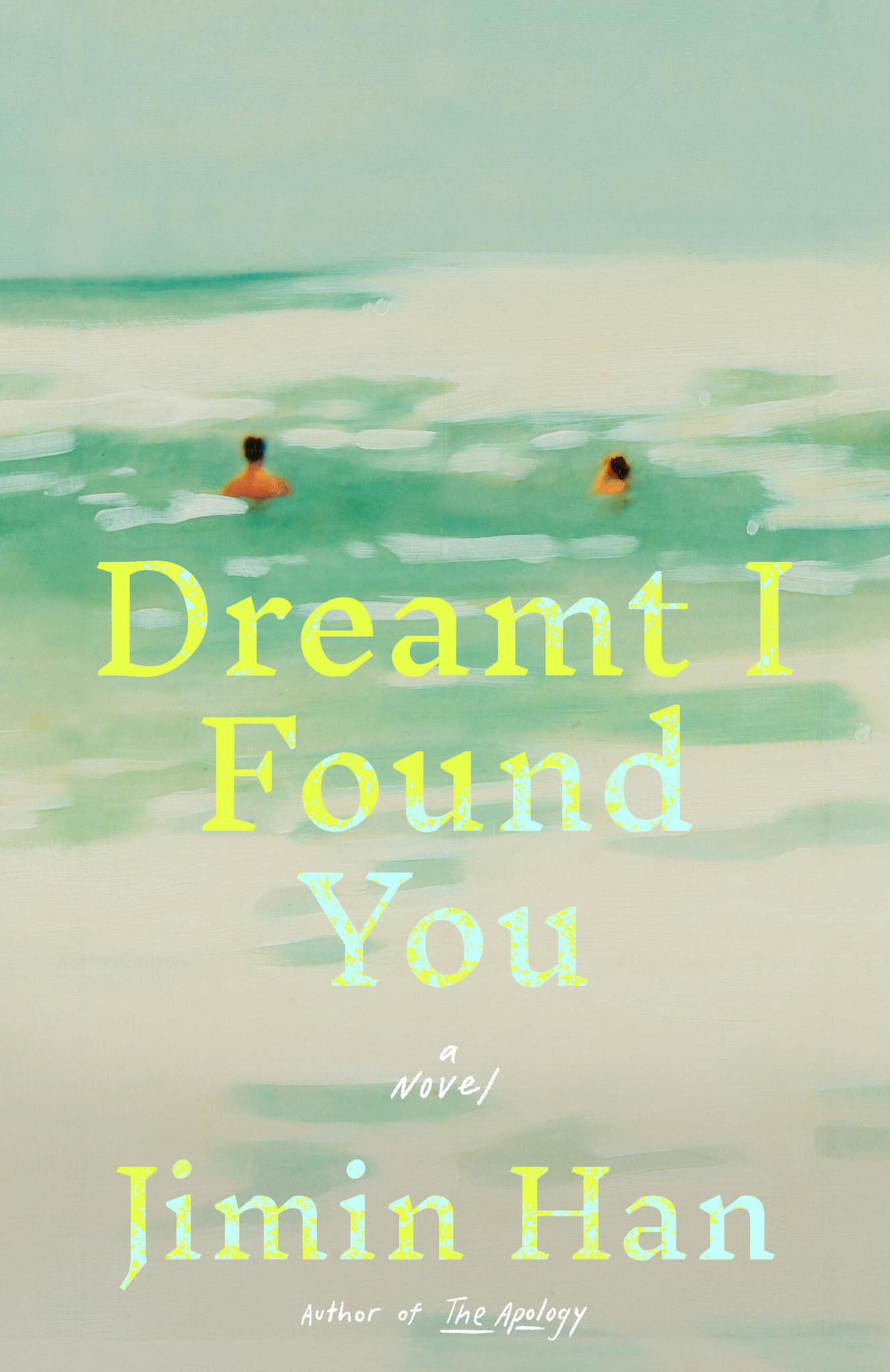 Little, Brown and Company Dreamt I Found You: A Novel