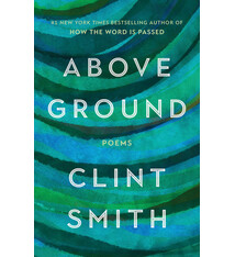 Back Bay Books Above Ground