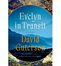 Evelyn in Transit: A Novel