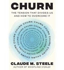 Churn: The Tension That Divides Us and How to Overcome It