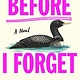 St. Martin's Press Before I Forget:  A Novel