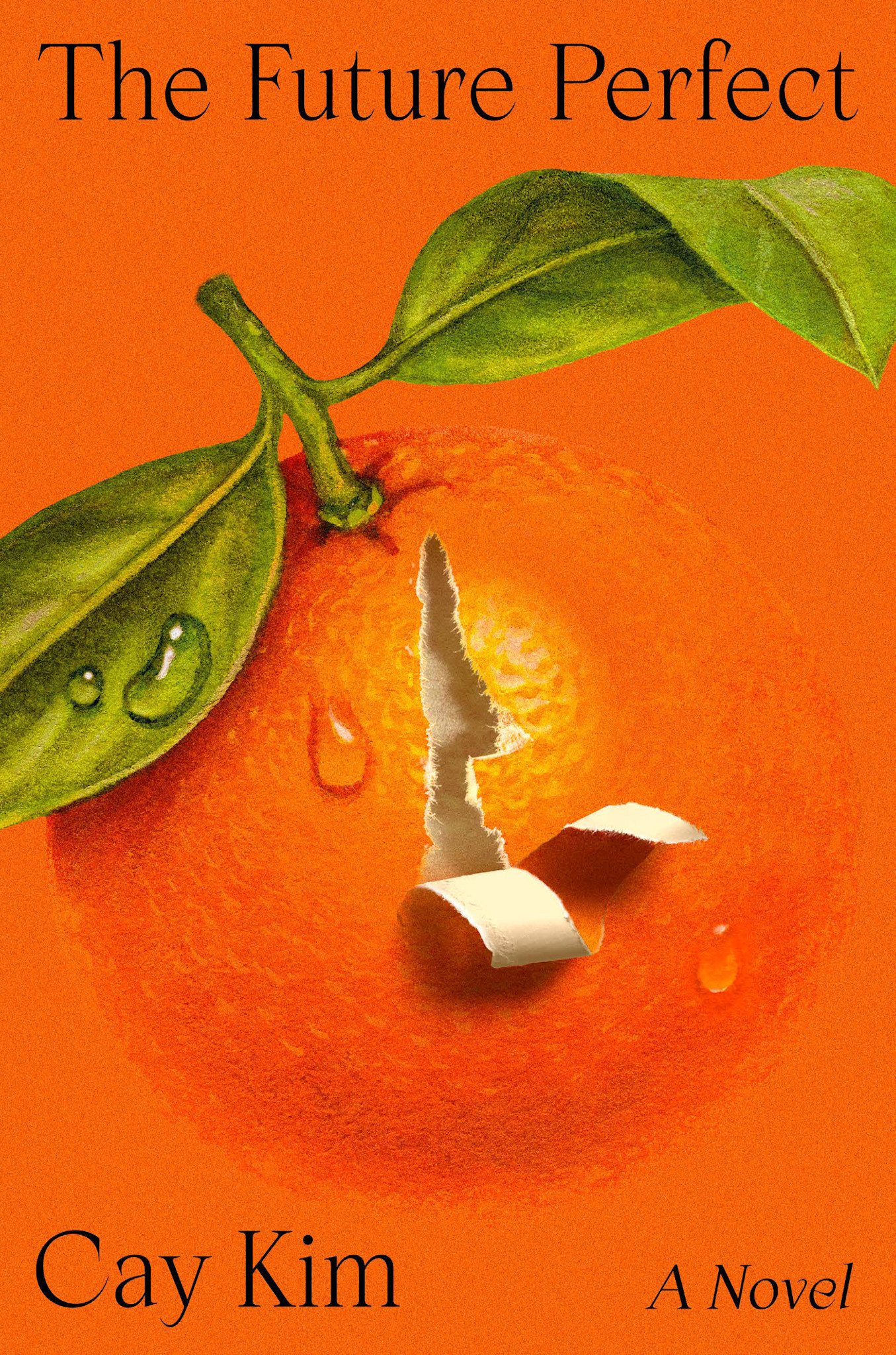 Riverhead Books The Future Perfect: A Novel