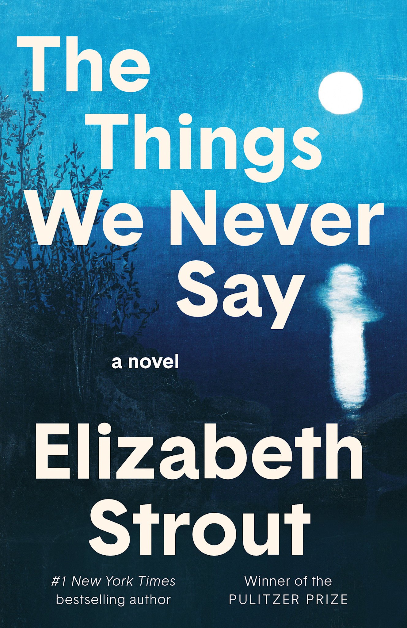 Random House The Things We Never Say: A Novel
