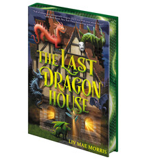 Amulet Books The Last Dragon House: A Novel