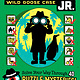Little, Brown Books for Young Readers Murdle Jr.: Wild Goose Case: Solve Your Way Through 40 Puzzle Mysteries!