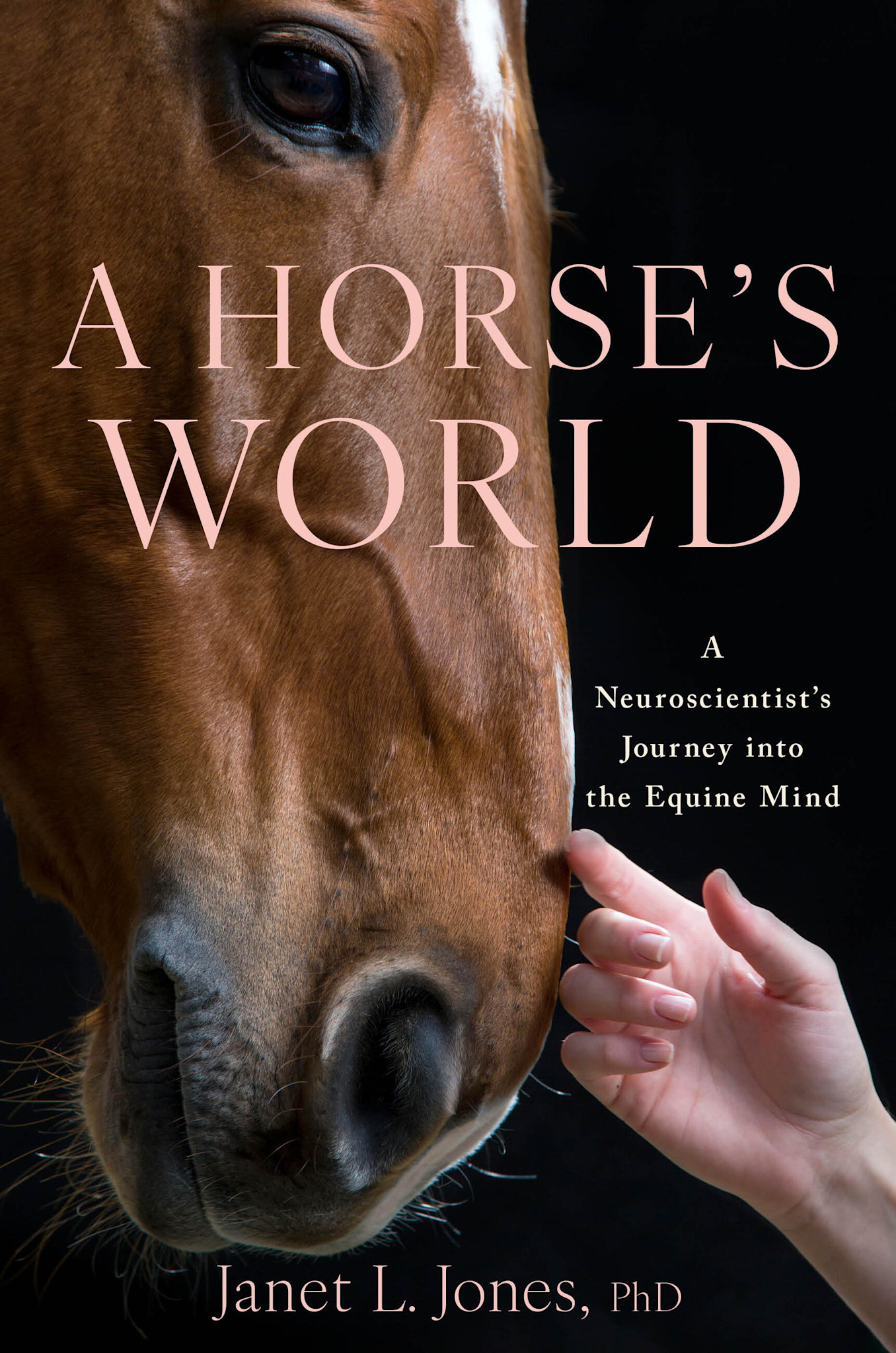 Little, Brown and Company A Horse's World: A Neuroscientist's Journey into the Equine Mind