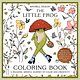 Summersdale The Little Frog Coloring Book: A Relaxing, Mindful Journey of Colour and Creativity