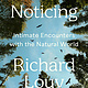 Algonquin Books Noticing: Intimate Encounters With the Natural World