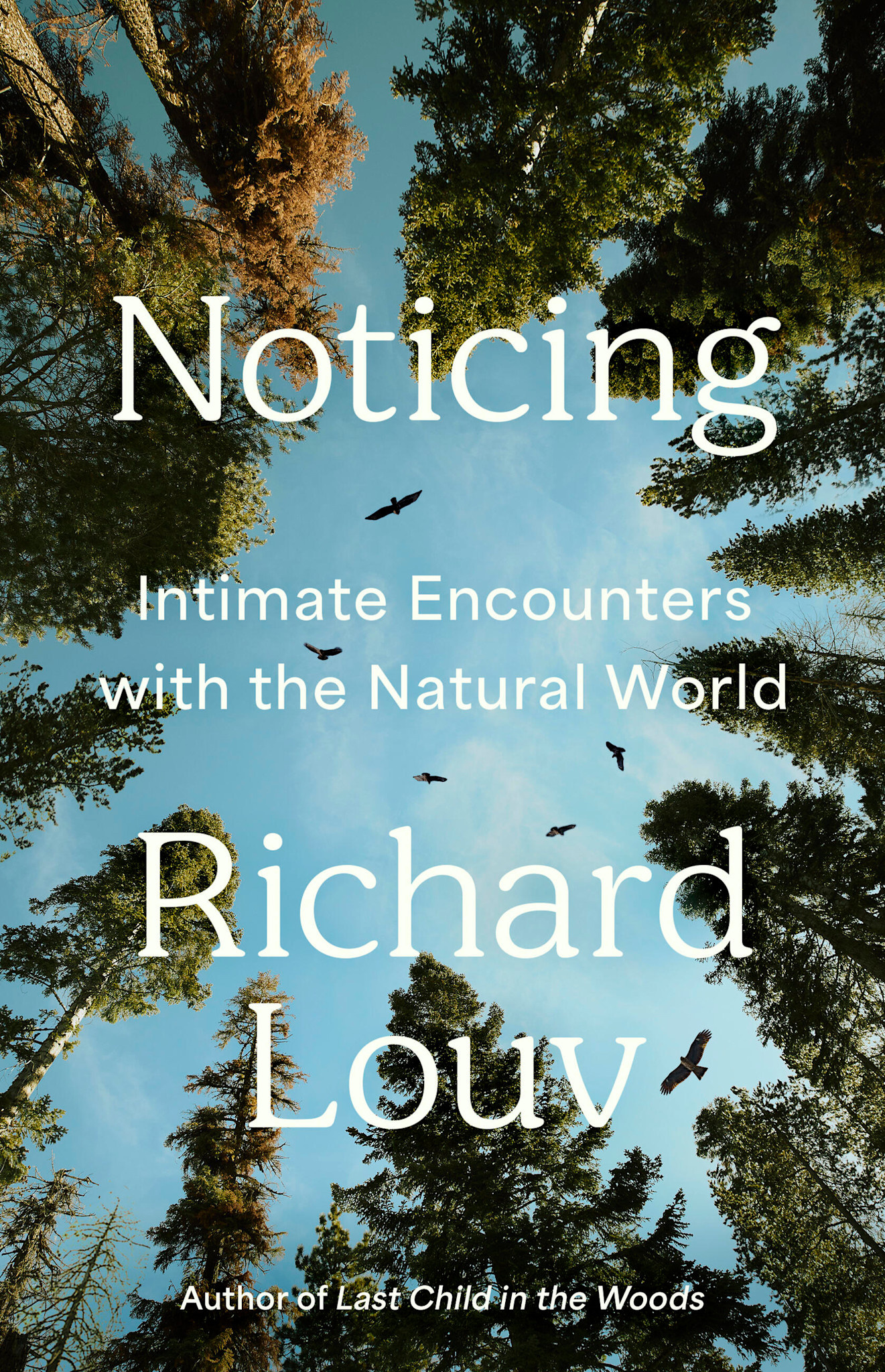 Algonquin Books Noticing: Intimate Encounters With the Natural World