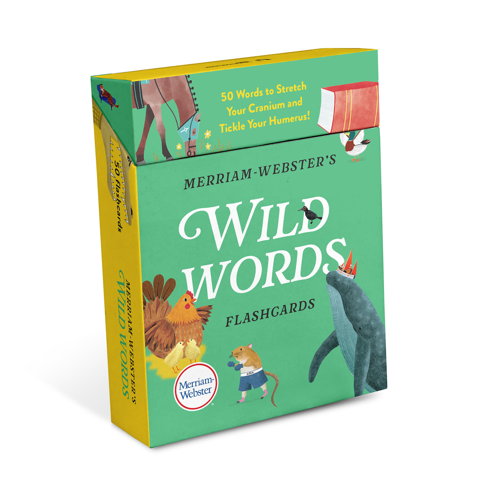 Merriam-Webster's Wild Words Flashcards: 50 Words to Stretch Your Cranium and Tickle Your Humerus!