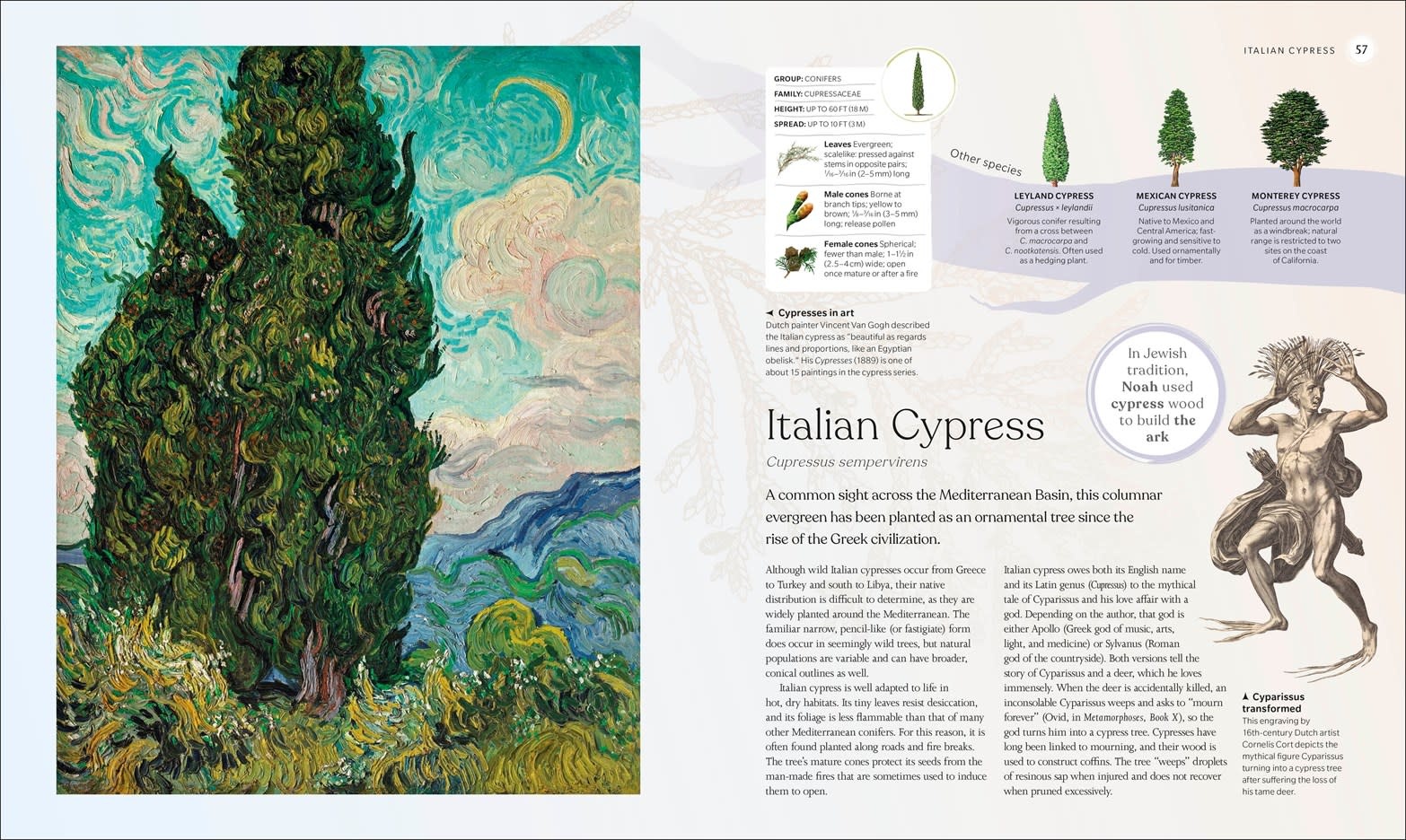 The Tree Book: The Stories, Science, and History of Trees