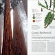 The Tree Book: The Stories, Science, and History of Trees