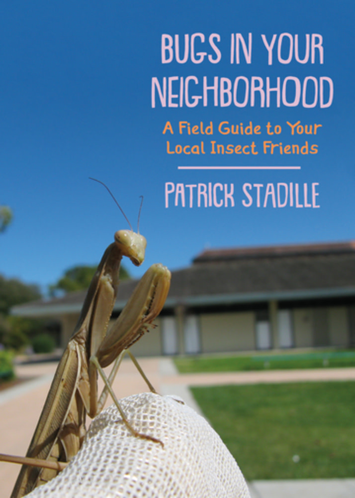 Heyday Bugs in Your Neighborhood: A Field Guide to Your Local Insect Friends