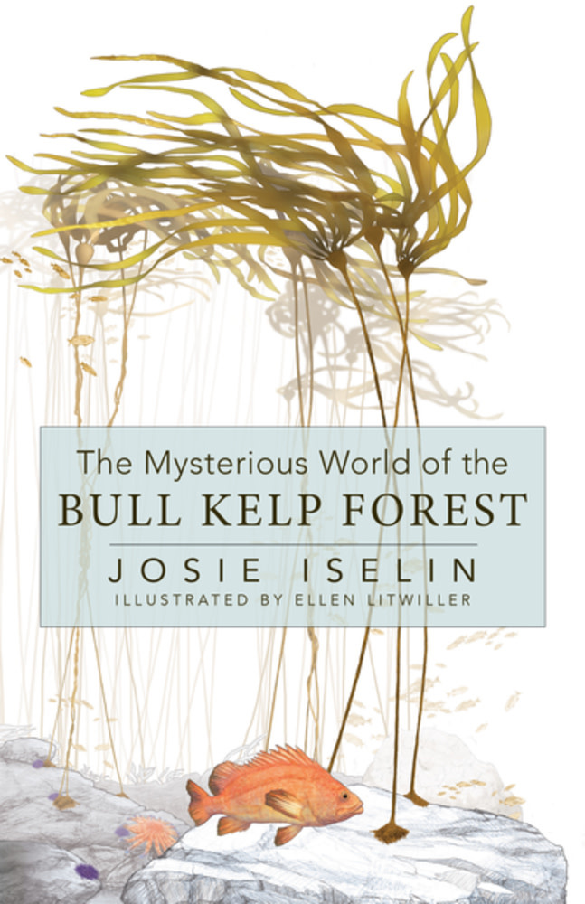 Heyday The Mysterious World of the Bull Kelp Forest