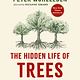 Greystone Books The Hidden Life of Trees: What They Feel, How They Communicate—Discoveries from A Secret World
