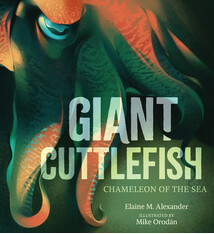 Candlewick Giant Cuttlefish: Chameleon of the Sea