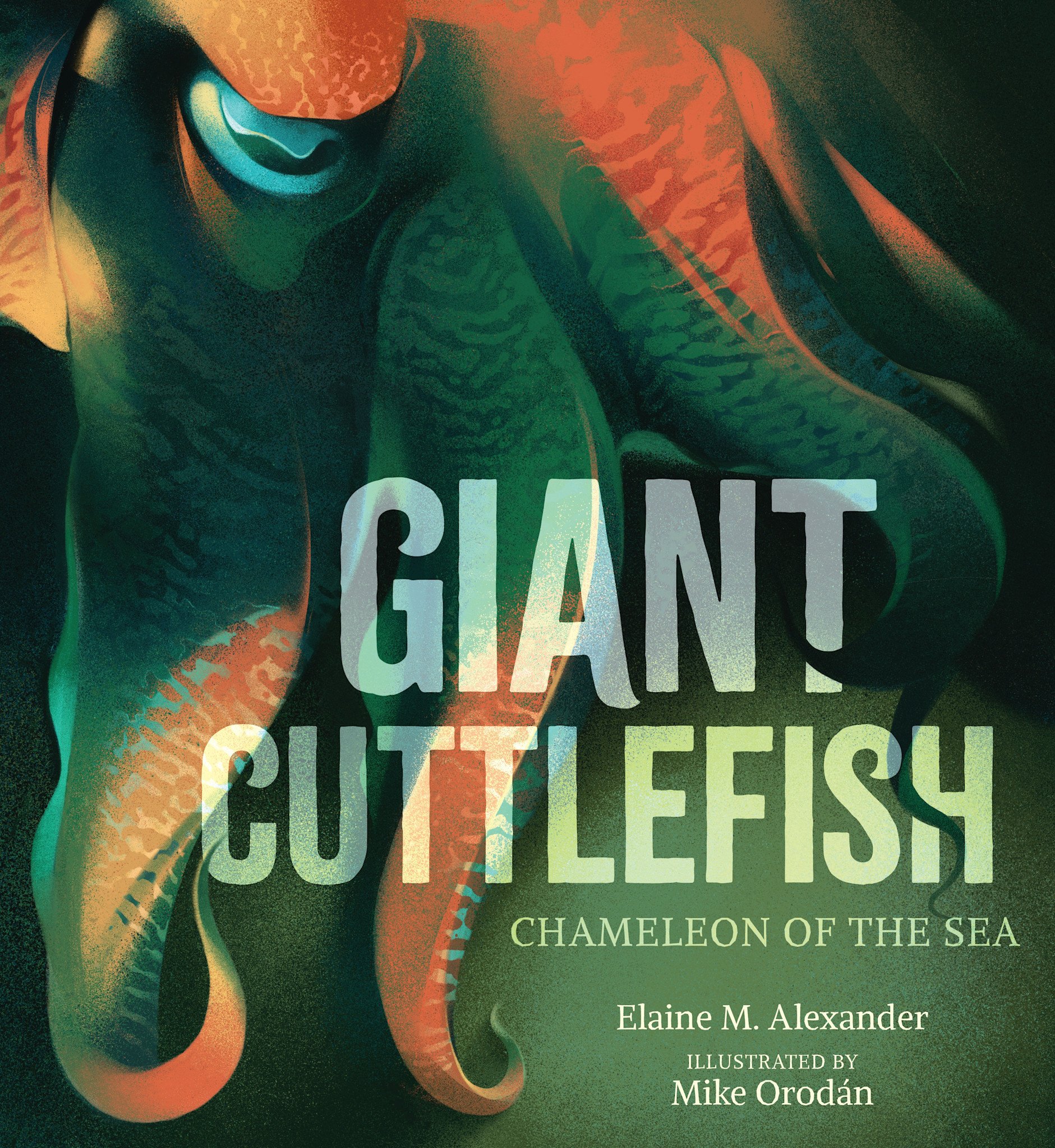 Candlewick Giant Cuttlefish: Chameleon of the Sea