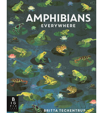 Big Picture Press Amphibians Everywhere