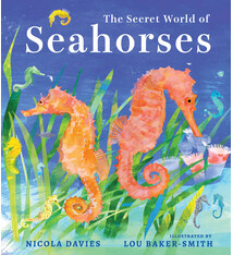 Candlewick The Secret World of Seahorses