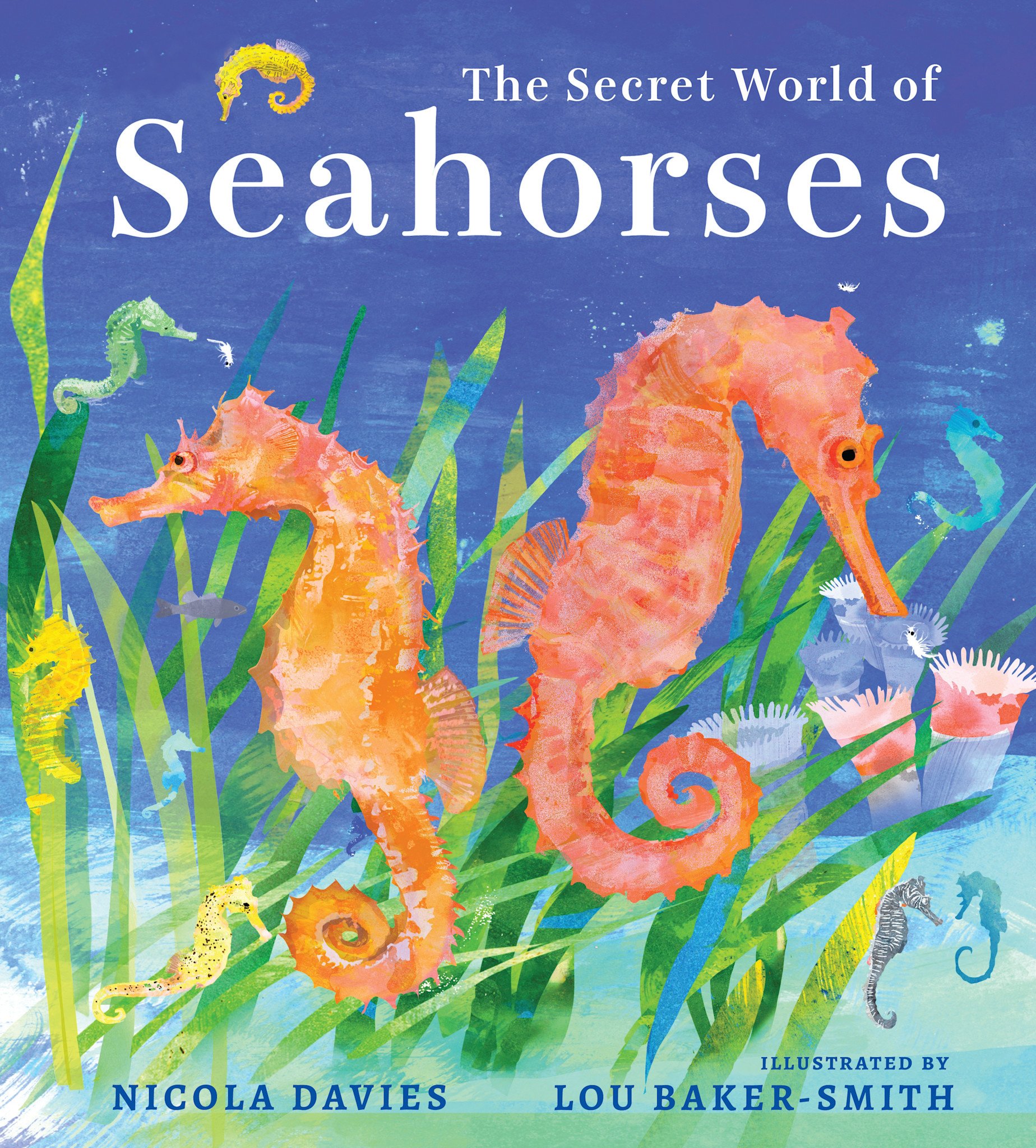 Candlewick The Secret World of Seahorses