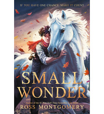 Candlewick Small Wonder