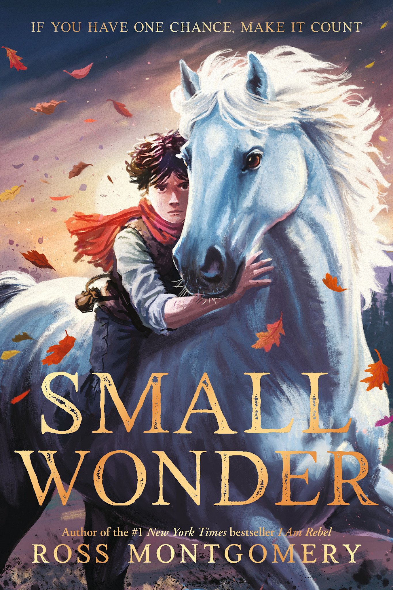 Candlewick Small Wonder