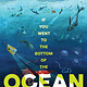 Chronicle Books If You Went to the Bottom of the Ocean
