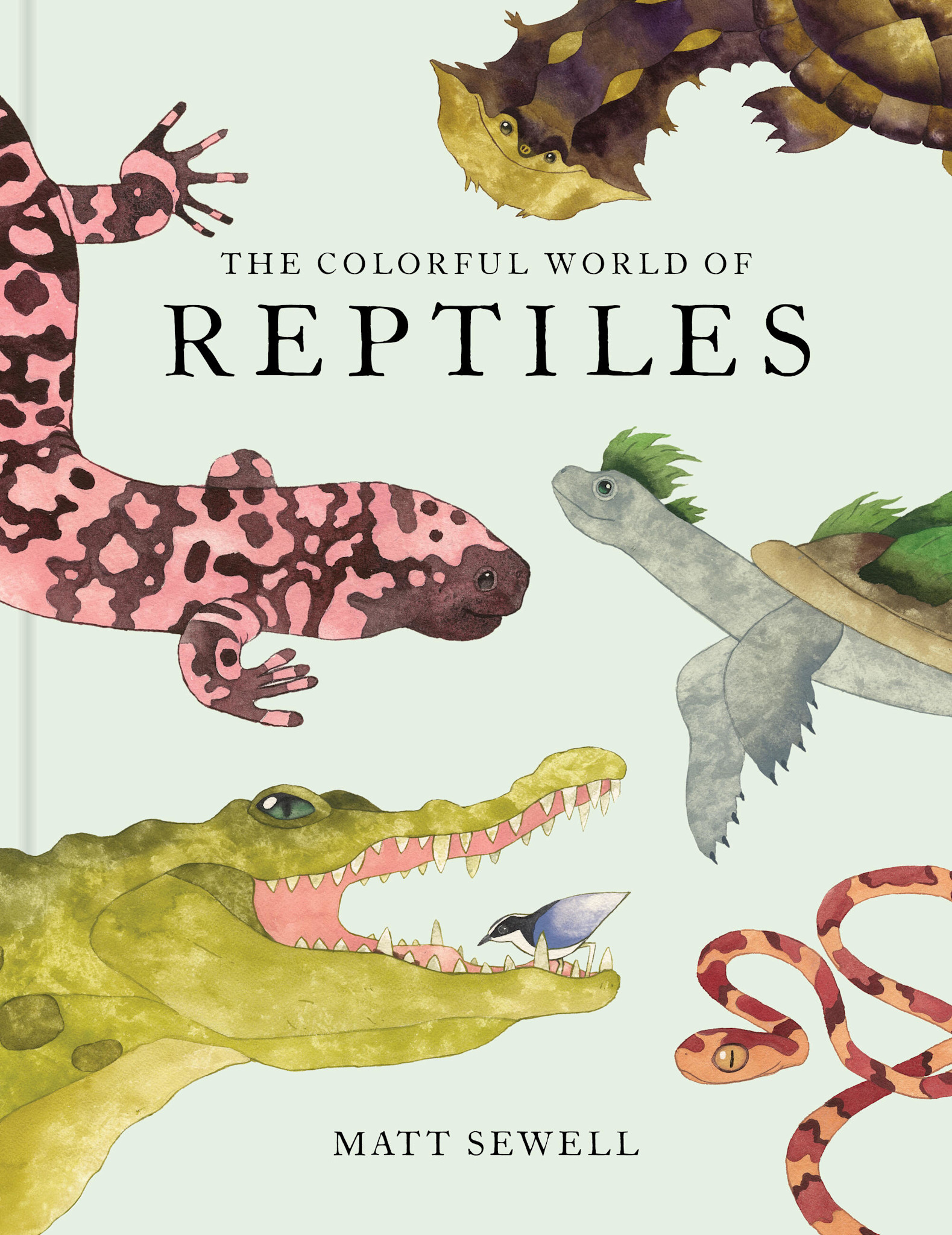 Princeton Architectural Press The Colorful World of Reptiles