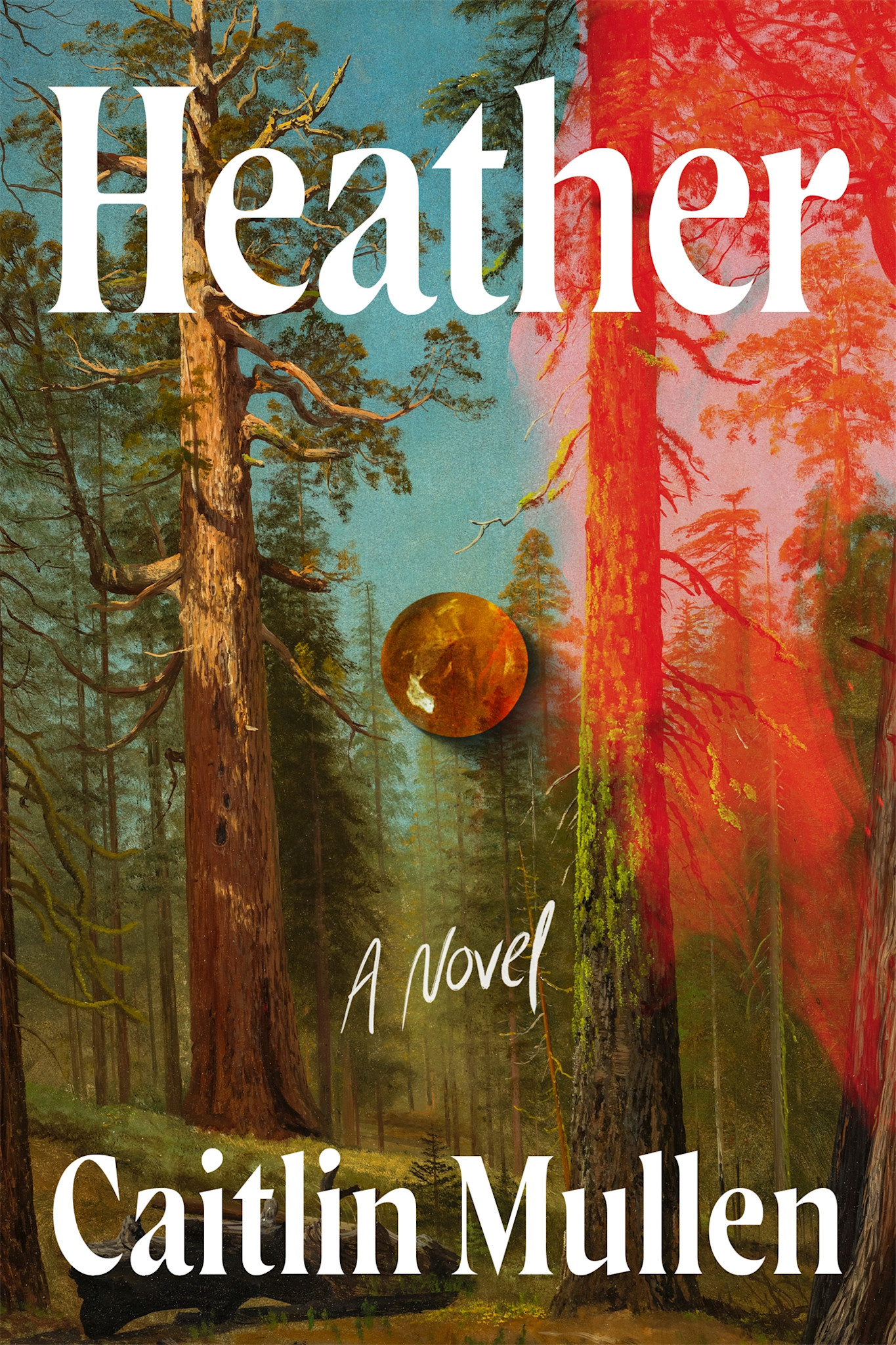 Celadon Books Heather: A Novel