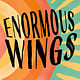 Henry Holt and Co. Enormous Wings: A Novel
