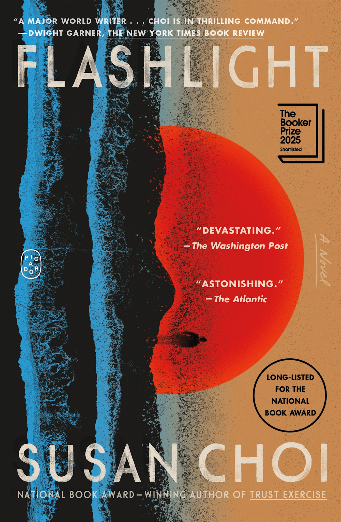 Picador Flashlight: A Novel