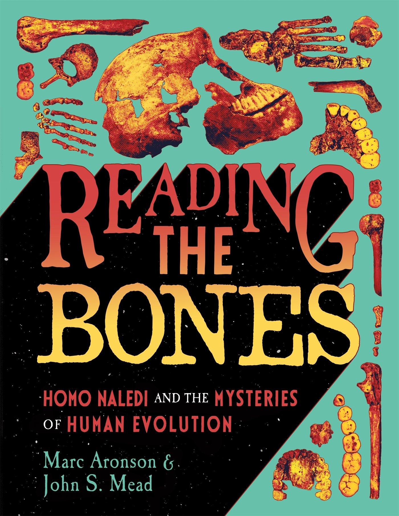 Farrar, Straus and Giroux (BYR) Reading the Bones: Homo Naledi and the Mysteries of Human Evolution