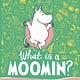What is a Moomin? An Illustrated Guide in 100 Objects