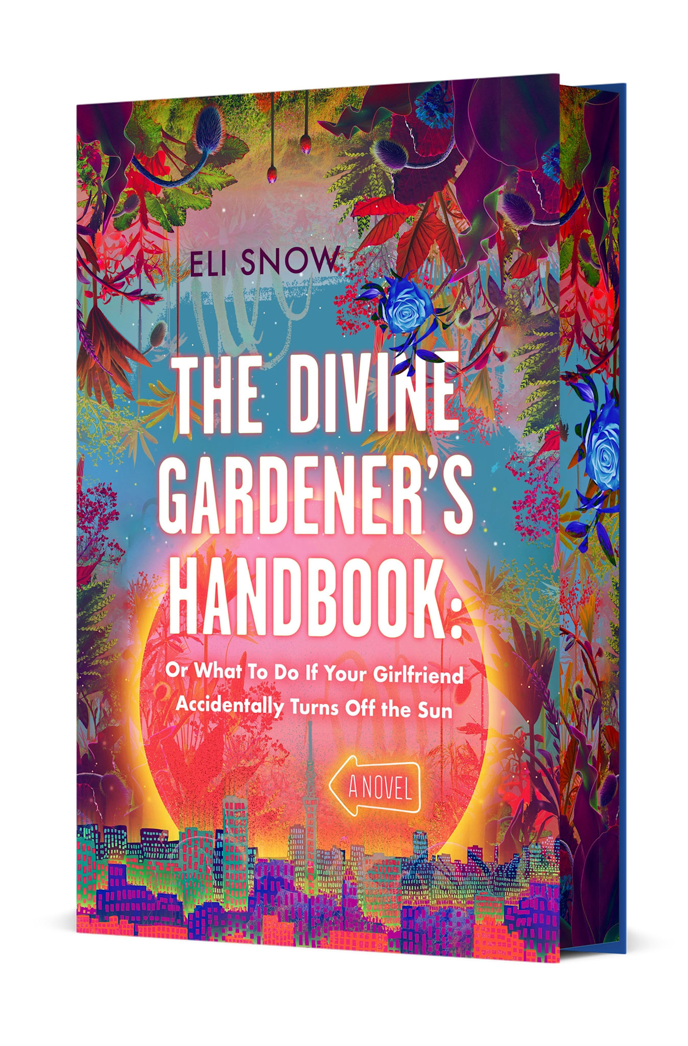 The Divine Gardener's Handbook: Or What To Do If Your Girlfriend Accidentally Turns Off the Sun