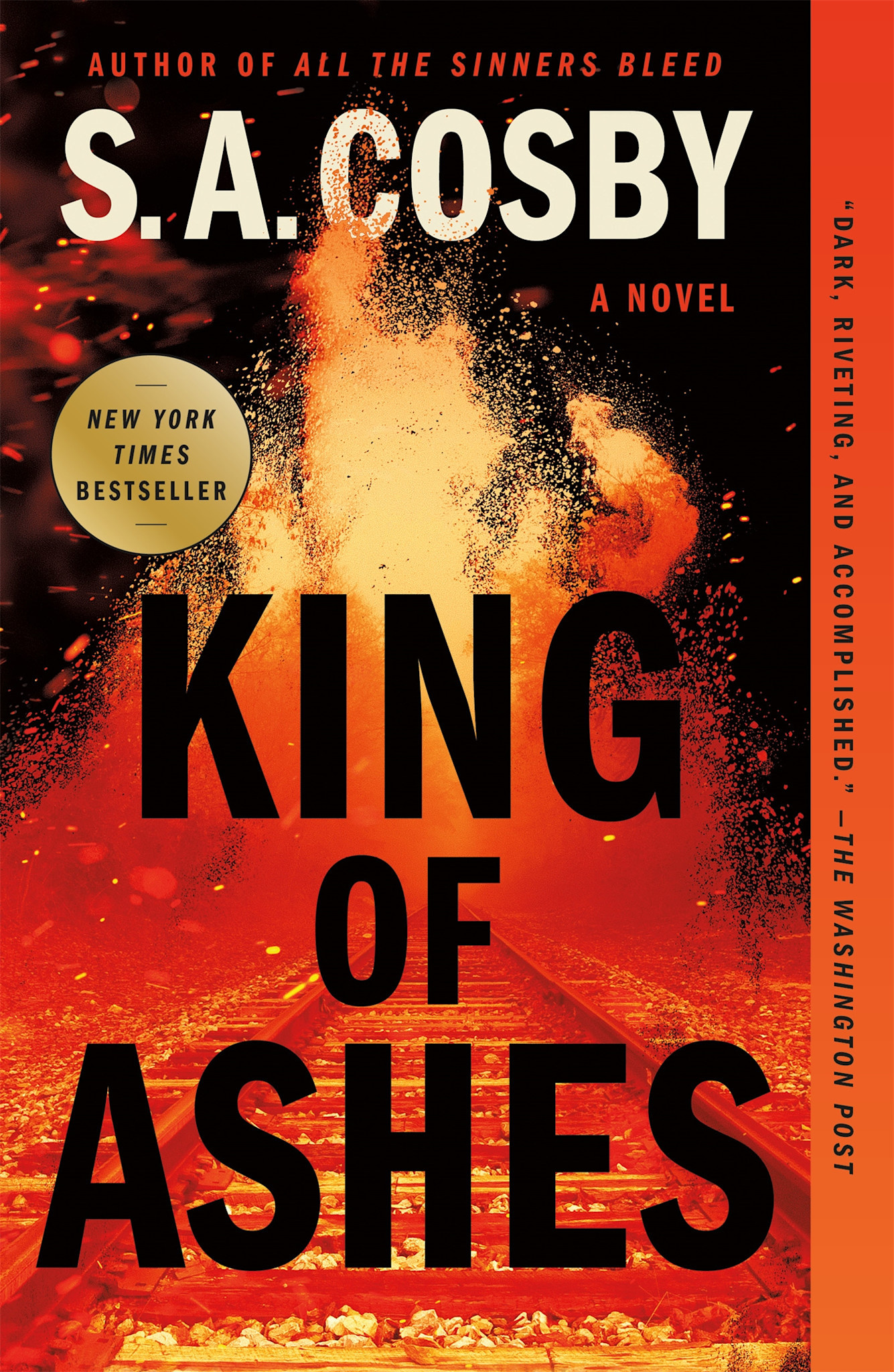 King of Ashes: A Novel