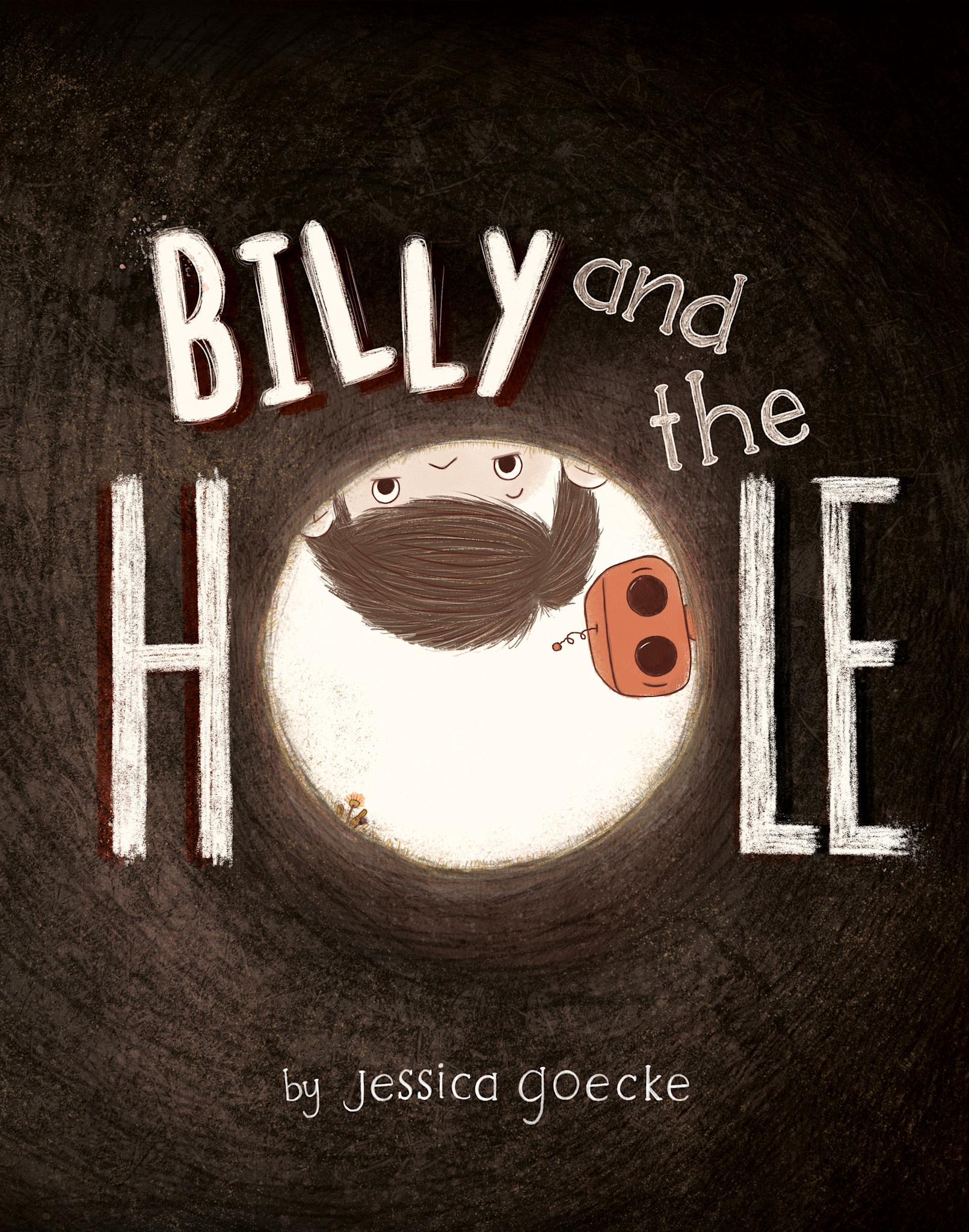 Flamingo Books Billy and the Hole