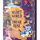 Kokila The Secret World of Briar Rose