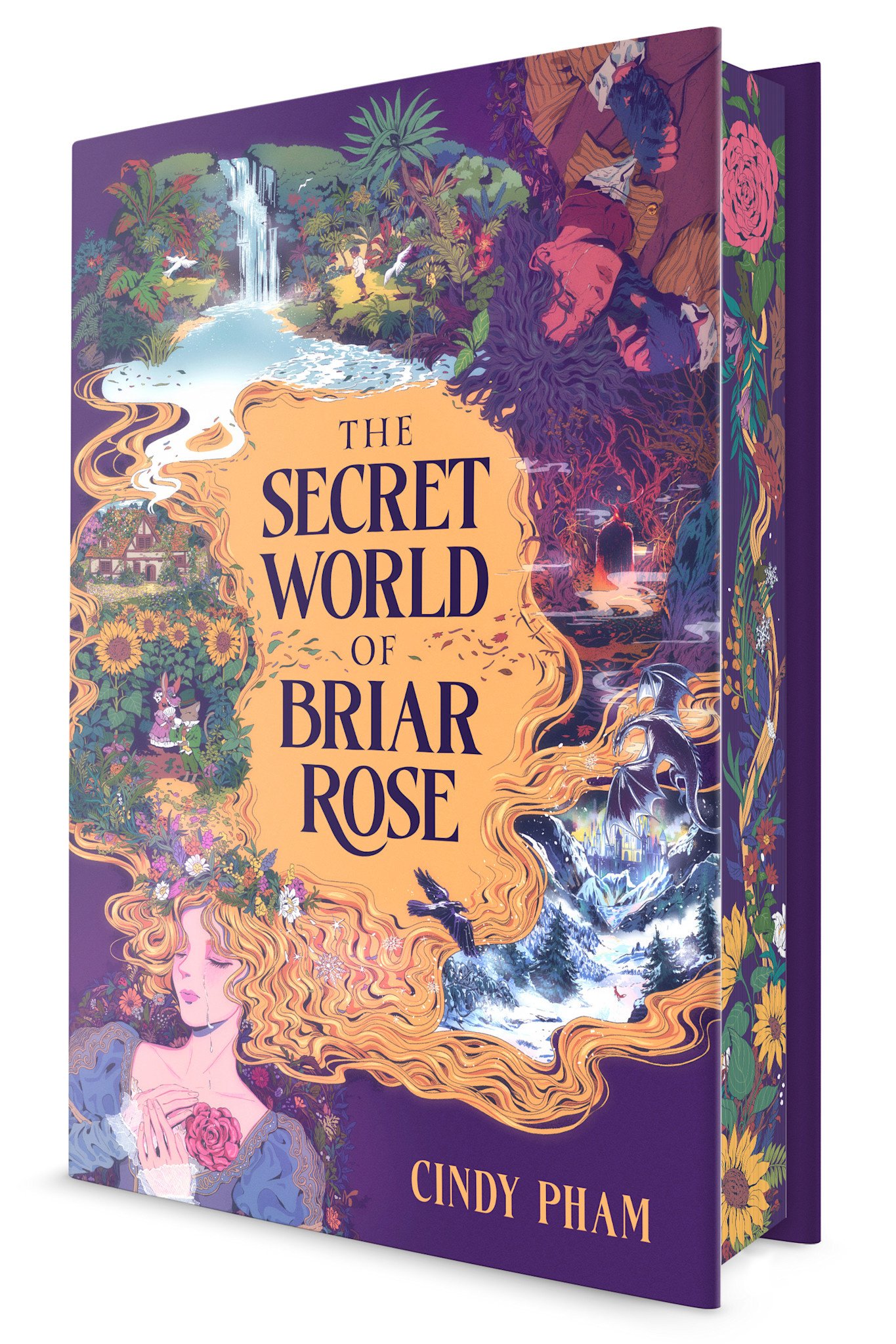 Kokila The Secret World of Briar Rose