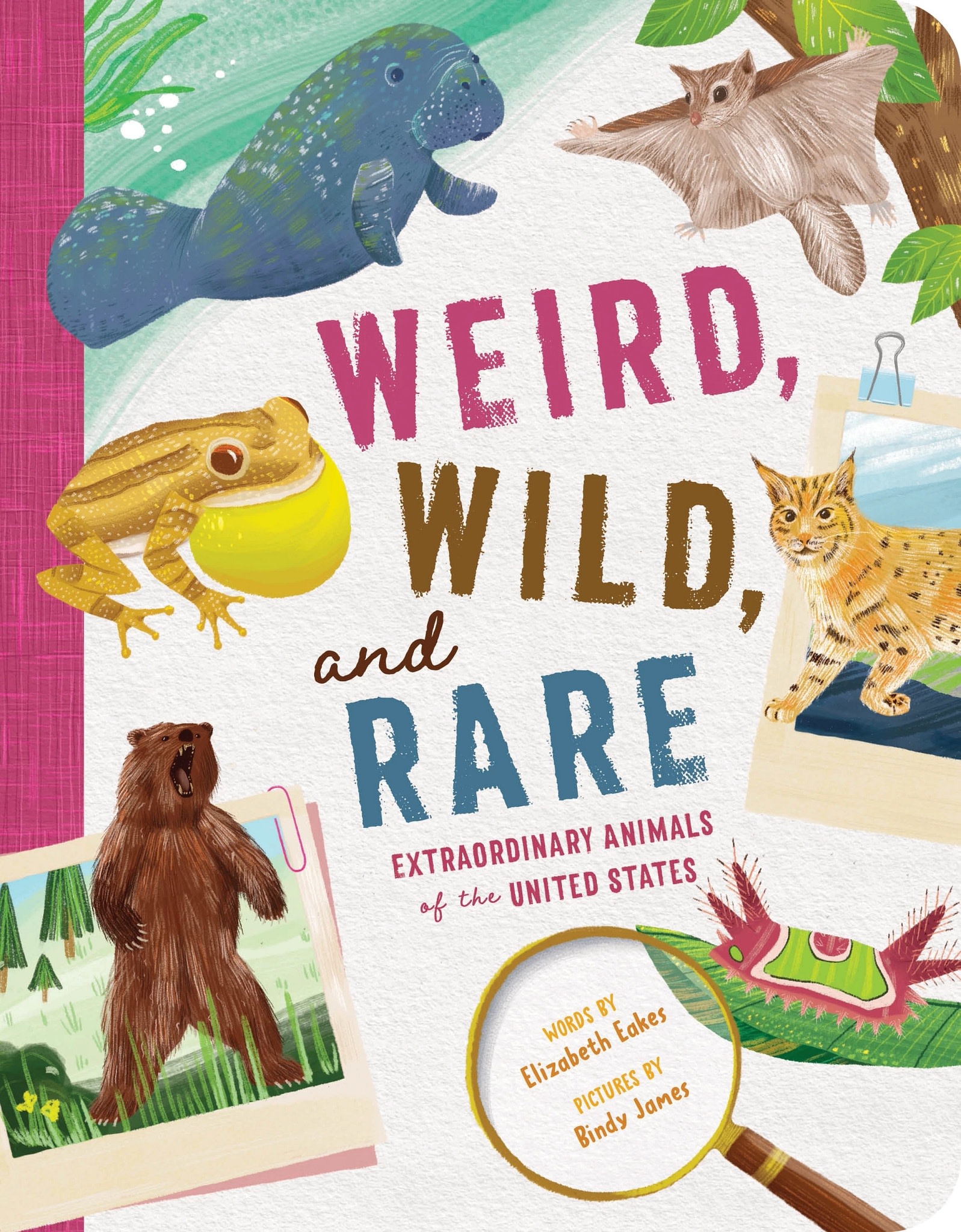 duopress Weird, Wild, and Rare: Extraordinary Animals of the United States