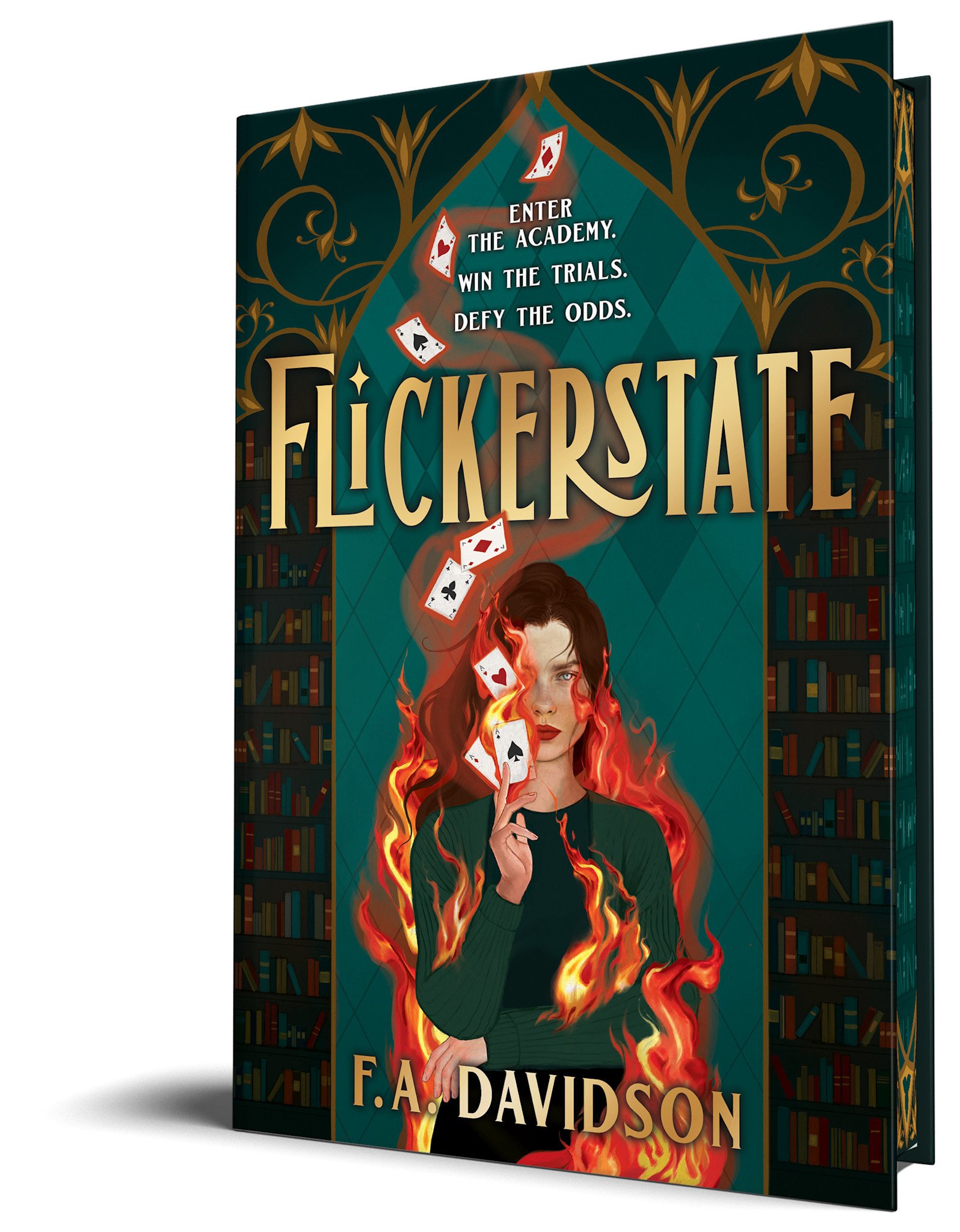 Sourcebooks Fire Flickerstate