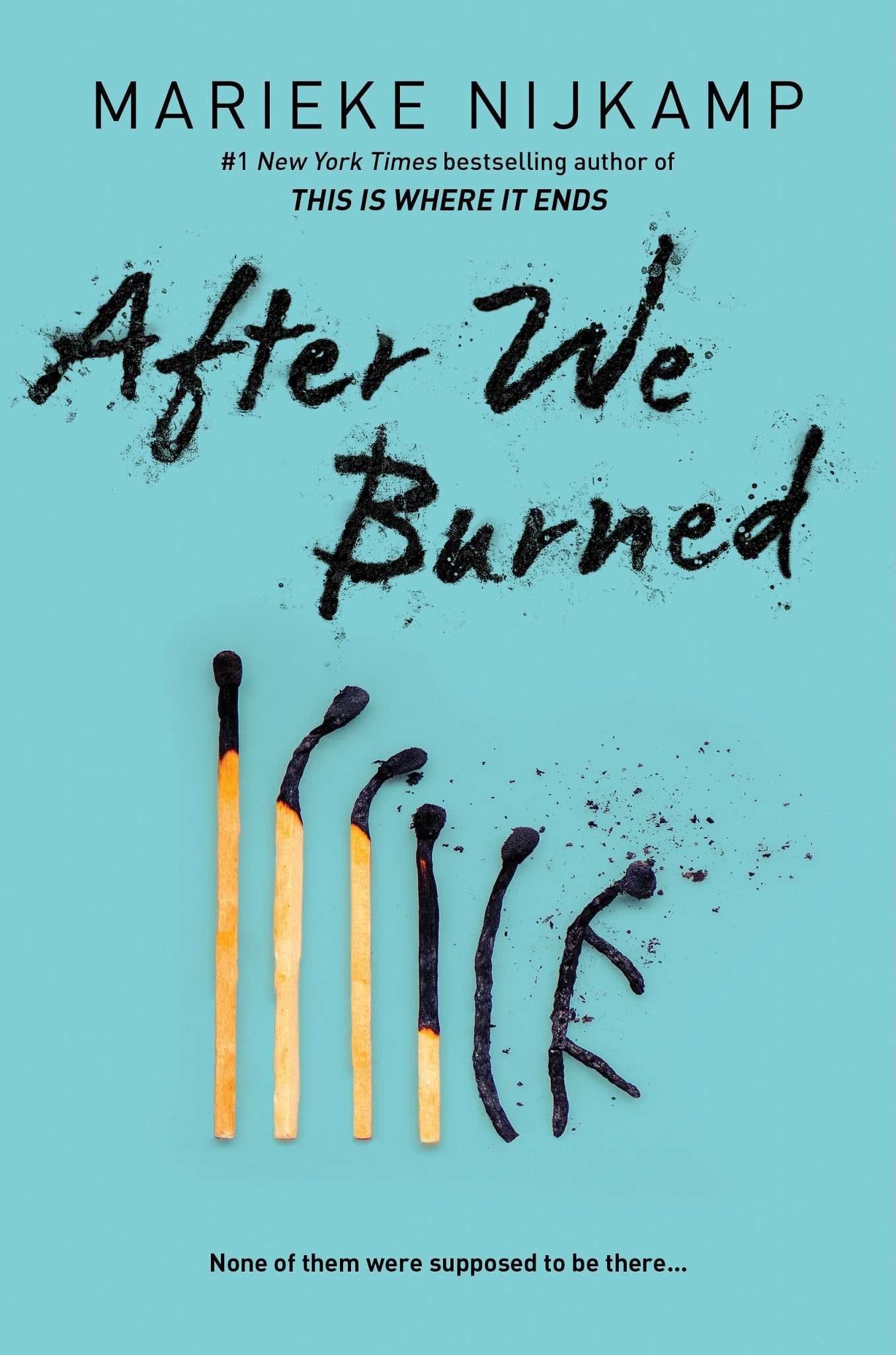 Sourcebooks Fire After We Burned