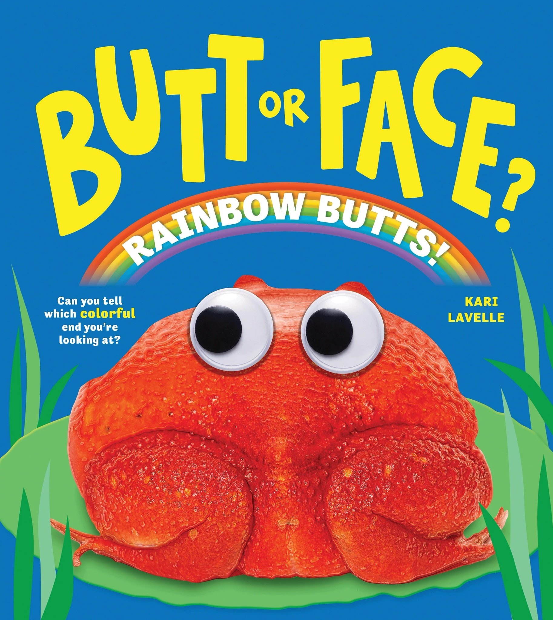 Sourcebooks Explore Butt or Face? Volume 5: Rainbow Butts