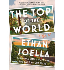 Scribner The Top of the World: A Novel