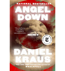 Atria Books Angel Down: A Novel