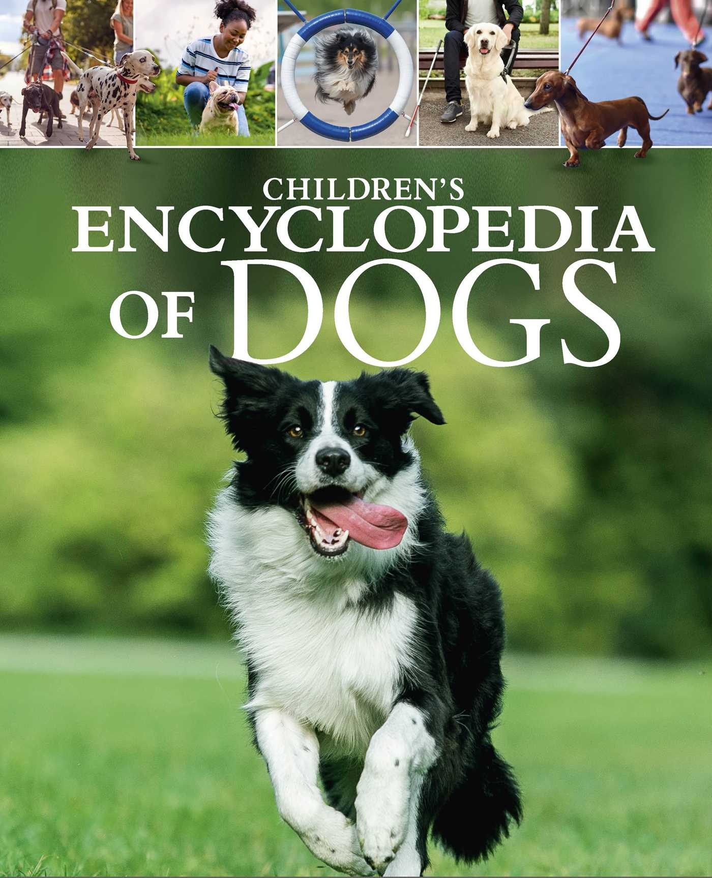 Arcturus Children's Encyclopedia of Dogs
